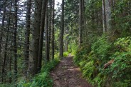 Upper Trail
