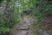 Trail stairway