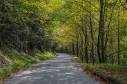 Brown Mountain Beach Road