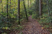 Harper Creek Trail