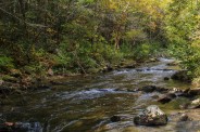 A scene along Harper Creek