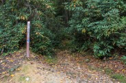 Harper Creek Falls trailhead