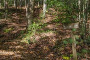 Harper Creek Trail junction