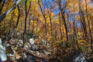 Boulders along Pilot Rock Trail