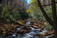 Bradley Creek
