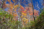 Autumn at its finest