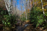 Looking Glass Creek