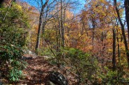 Mid-way up the trail