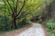 Brown Mountain Beach Road