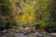 Color fest on Wilson Creek