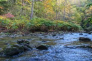 Wilson Creek Trail