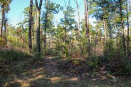 White Rocks trailhead