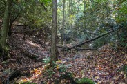 White Rocks Trail