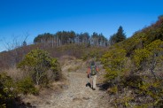 Approaching Ivestor Gap