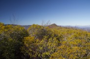 Birdstand Mountain