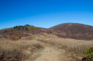 Ivestor Gap
