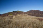 Another of Ivestor Gap