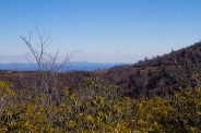 Northeast of Ivestor Gap