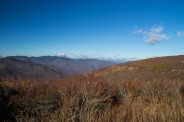 Trail winds through the wilderness