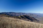 Birdstand from Tennent Mountain