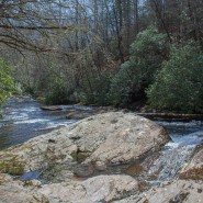 Funneltop Mountain and Squirrel Gap to South Mills River, Pisgah National Forest
