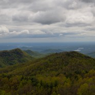 Foothills Trail from Sassafras Mountain, SC to Gum Gap, NC