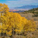 Aspen and the Henry Mountains