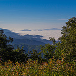 Fog Below Roan Mountain
