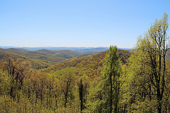 Beaverdam Gap Overlook