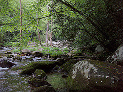 Big Creek Trail
