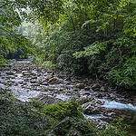 East Fork of the Pigeon River
