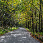 Brown Mountain Beach Road