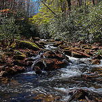 Slate Rock Creek Meets Bradley Creek