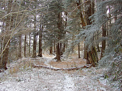 Buckeye Gap Trail