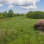 Looking East from Buckeye Ridge