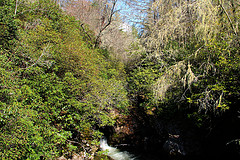 Norton Mills Creek