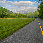 Cataloochee Road