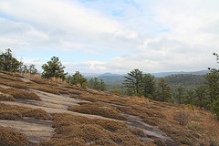 View from Cedar Rock Trail