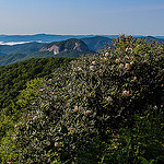 Looking Glass Rock from Cherry Cove Overlook