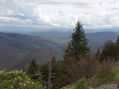 Chestnut Creek Drainage