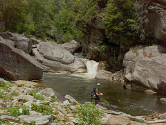 Falls on Linville River Above Conley Cove