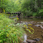 Deep Creek foot bridge