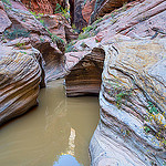Water in the Echo Canyon Slot