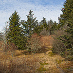 Green Mountain Trail Climbs Fork Ridge