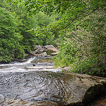 Grassy Creek Falls