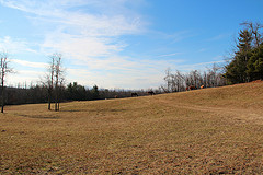 Pinnacle Mountain Horse Farm