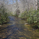 Crossing South Mills River