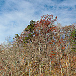 November Sky at Wilderness Cove