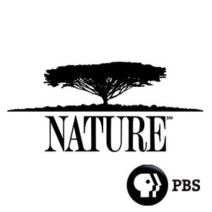 Nature on PBS logo