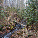 Crossing Pressley Creek